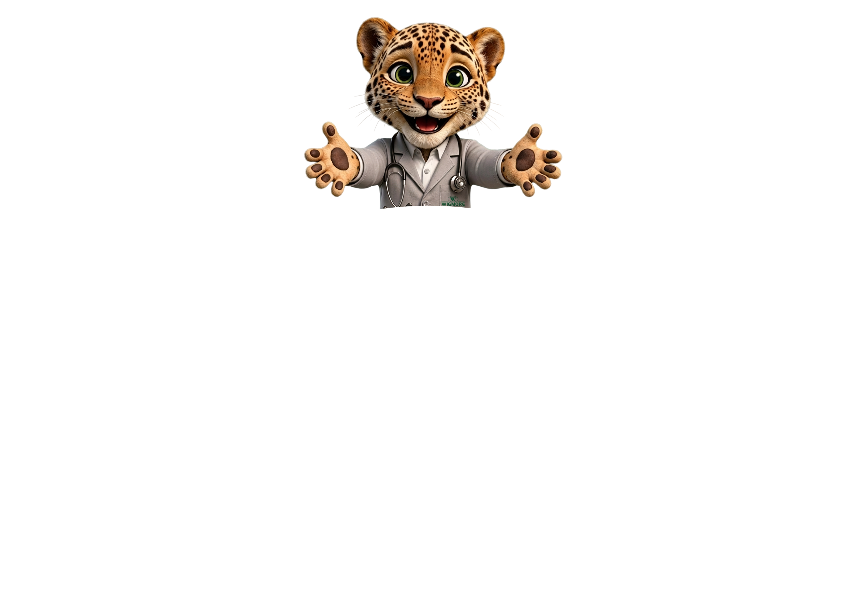 Wigmore group logo
