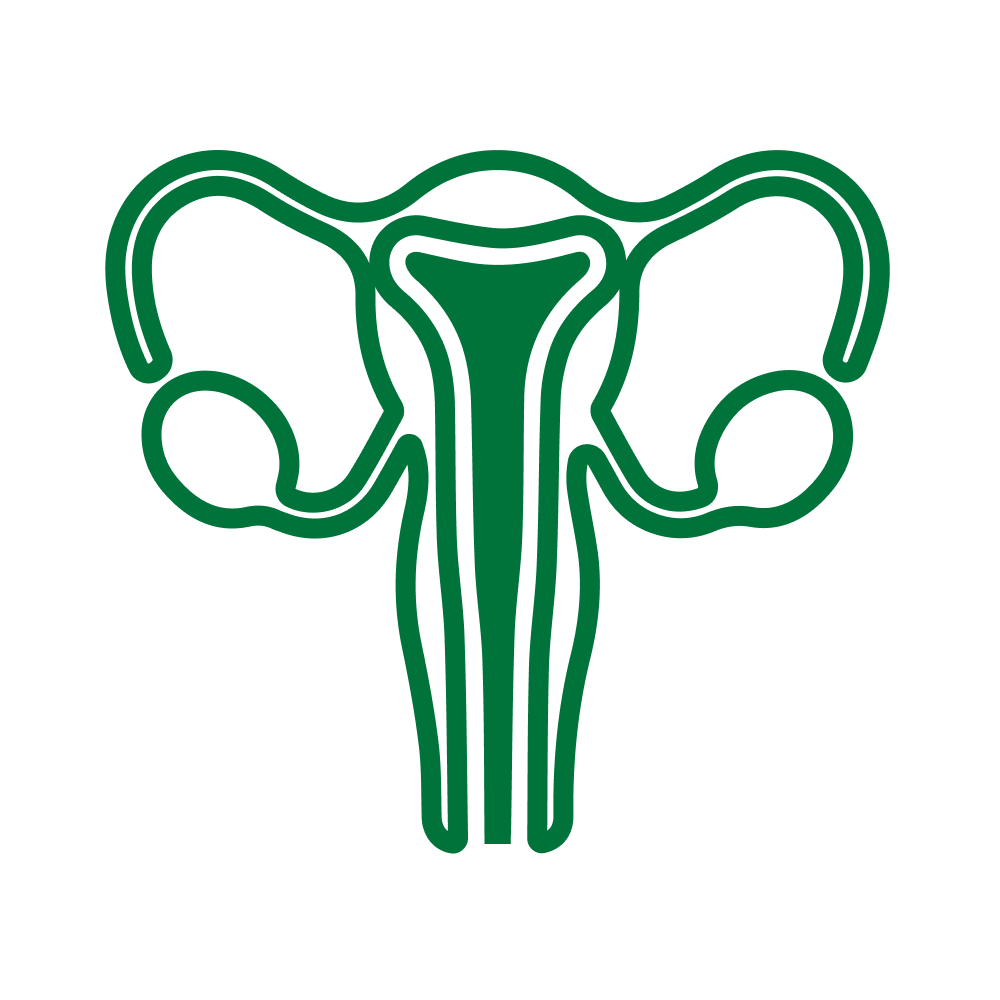 ՈՒՐՈԳԻՆԵԿՈԼՈԳԻԱ ԵՎ ԳԻՆԵԿՈԼՈԳԻԱ