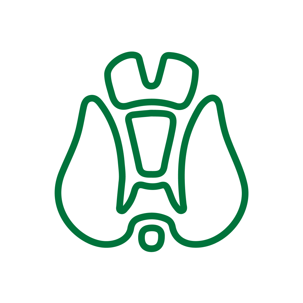 ՄԱՆԿԱԿԱՆ ՆԵՐԶԱՏԱԲԱՆՈՒԹՅՈՒՆ